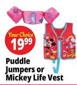 Ocean State Job Lot Stearns Puddle Jumper Kids Seahorse Life Jacket offer