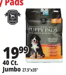 Ocean State Job Lot Puppy Pads offer