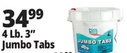 Ocean State Job Lot 4 Lb. 3 Jumbo Tabs offer