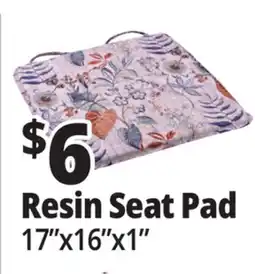 Ocean State Job Lot Resin Seat Pad offer