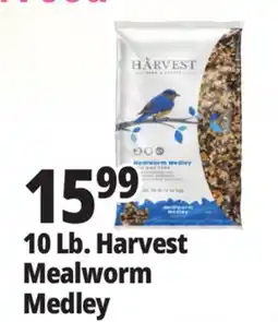 Ocean State Job Lot 10 Lb. Harvest Mealworm Medley offer