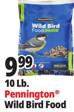 Ocean State Job Lot Pennington Wild Bird Food 10 lbs offer