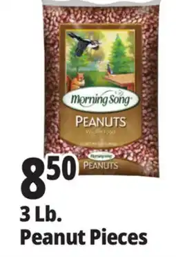 Ocean State Job Lot 3 Lb. Peanut Pieces offer