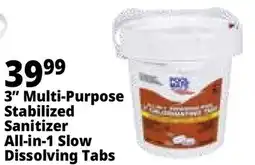 Ocean State Job Lot Pool Mate All-In-One 3 Chlorinating Tabs 5 lbs offer