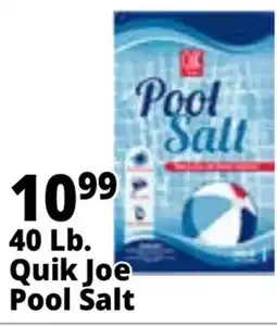Ocean State Job Lot 40 lbs Quik Joe Pool Salt offer