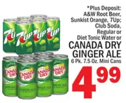 C Town CANADA DRY GINGER ALE offer