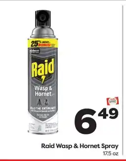 Weis Markets Raid Wasp & Hornet Spray offer