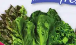 Kings Food Markets ORGANIC RED OR GREEN LEAF LETTUCE OR ROMAINE OR ORGANIC LOCAL YELLOW OR GREEN SQUASH offer