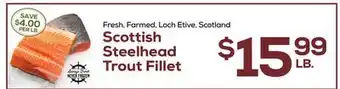 DeCicco & Sons Scottish Steelhead Trout Fillet offer