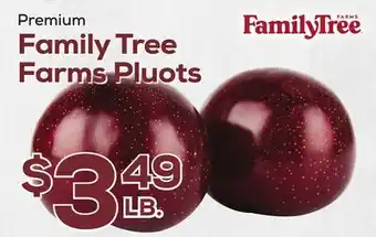 DeCicco & Sons Family Tree Farms Pluots offer