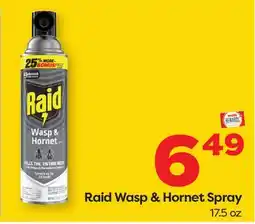 Weis Markets Raid Wasp & Hornet Spray offer
