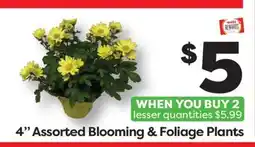 Weis Markets 4 Assorted Blooming & Foliage Plants offer