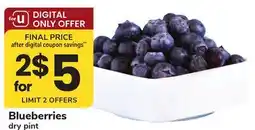 ACME Blueberries offer