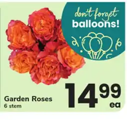 ACME Garden Roses offer