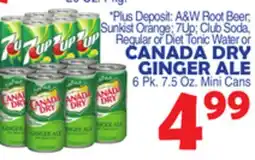Bravo Supermarkets CANADA DRY GINGER ALE offer