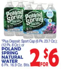 Bravo Supermarkets POLAND SPRING NATURAL WATER offer