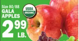 Bravo Supermarkets GALA APPLES offer