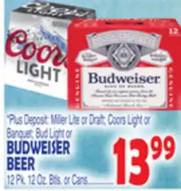 Bravo Supermarkets BUDWEISER BEER offer