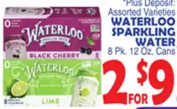 Bravo Supermarkets WATERLOO SPARKLING WATER offer