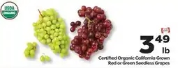Weis Markets Certified Organic California Grown Red or Green Seedless Grapes offer