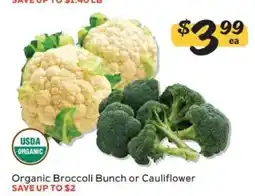 Winn Dixie Organic Broccoli Bunch or Cauliflower offer