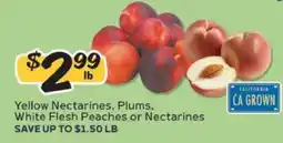 Winn Dixie Yellow Nectarines, Plums, White Flesh Peaches or Nectarines offer
