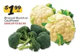 Winn Dixie Broccoli Bunch or Cauliflower offer