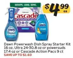 Winn Dixie Dawn Powerwash Dish Spray Starter Kit offer