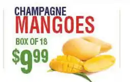 Circus Fruits CHAMPAGNE MANGOES offer