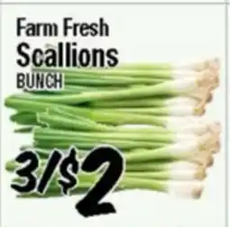 Western Beef Farm Fresh Scallions offer