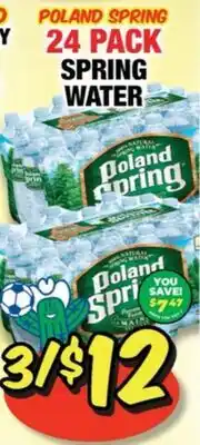 Western Beef POLAND SPRING 24 PACK SPRING WATER offer