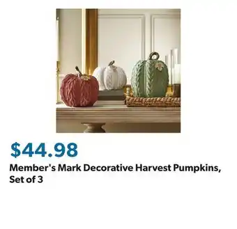 Sam's Club Member's Mark Decorative Harvest Pumpkins, Set of 3 offer