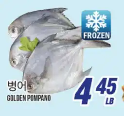 Joong Boo Market GOLDEN POMPANO offer
