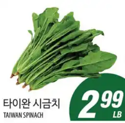 Joong Boo Market TAIWAN SPINACH offer