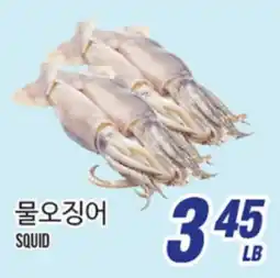 Joong Boo Market SQUID offer