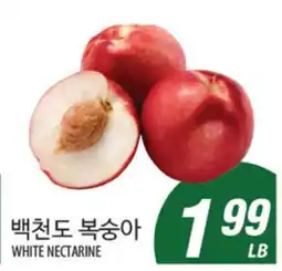 Joong Boo Market WHITE NECTARINE offer