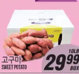 Joong Boo Market SWEET POTATO offer