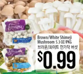 Hmart Brown/White Shimeji Mushroom offer