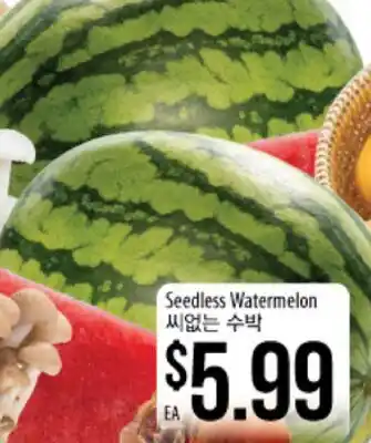 Hmart Seedless Watermelon offer