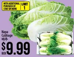 Hmart Napa Cabbage offer