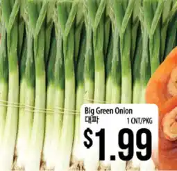Hmart Big Green Onion offer