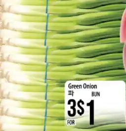 Hmart Green Onion offer