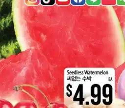 Hmart Seedless Watermelon offer