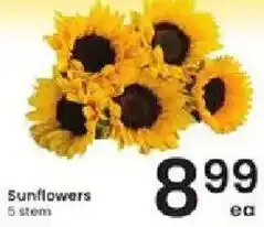 Albertsons Sunflowers offer