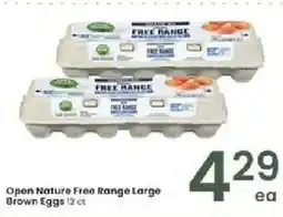 Albertsons Open Nature Free Range Large Brown Eggs offer