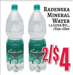 Trade Fair Supermarket RADENSKA MINERAL WATER offer