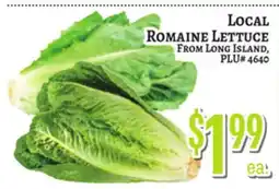Trade Fair Supermarket LOCAL Romaine LETTUCE FROM LONG ISLAND offer