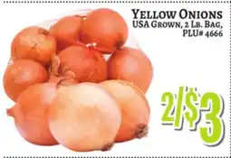 Trade Fair Supermarket YELLOW ONIONS offer