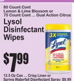 SuperFresh Lysol Disinfectant Wipes offer