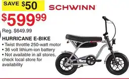 Dunham's Sports SCHWINN HURRICANE E-BIKE offer